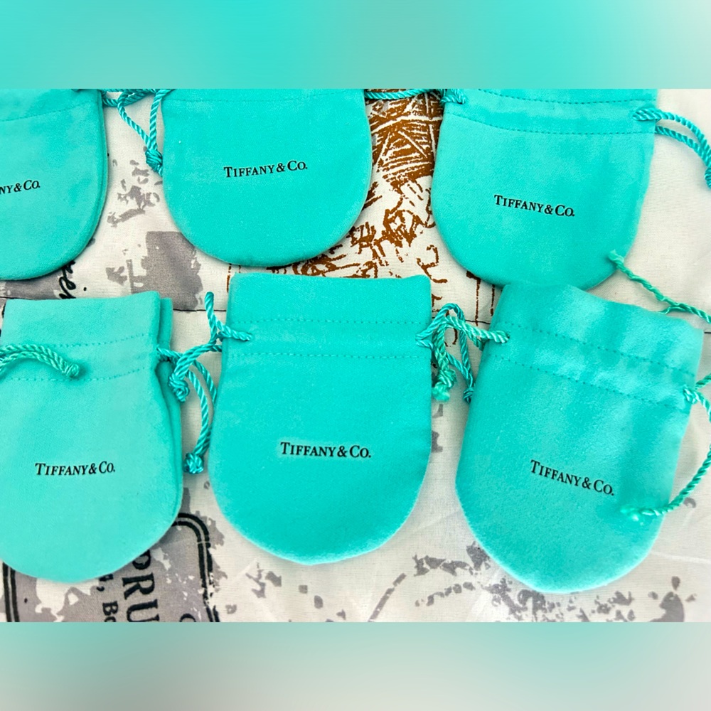 Tiffany and co. blue jewelry pouch small